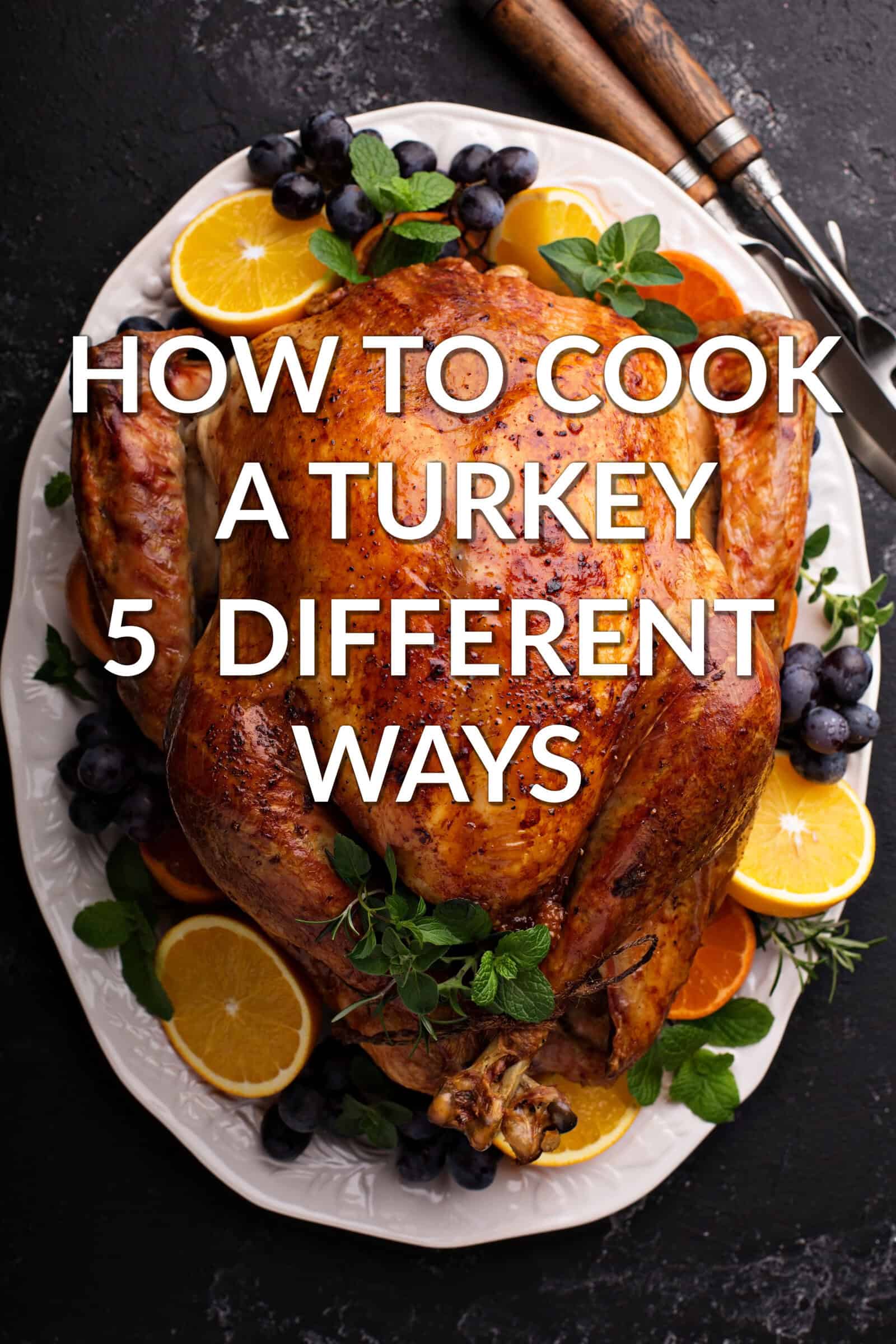 How To Cook a Turkey (5 Different Ways)