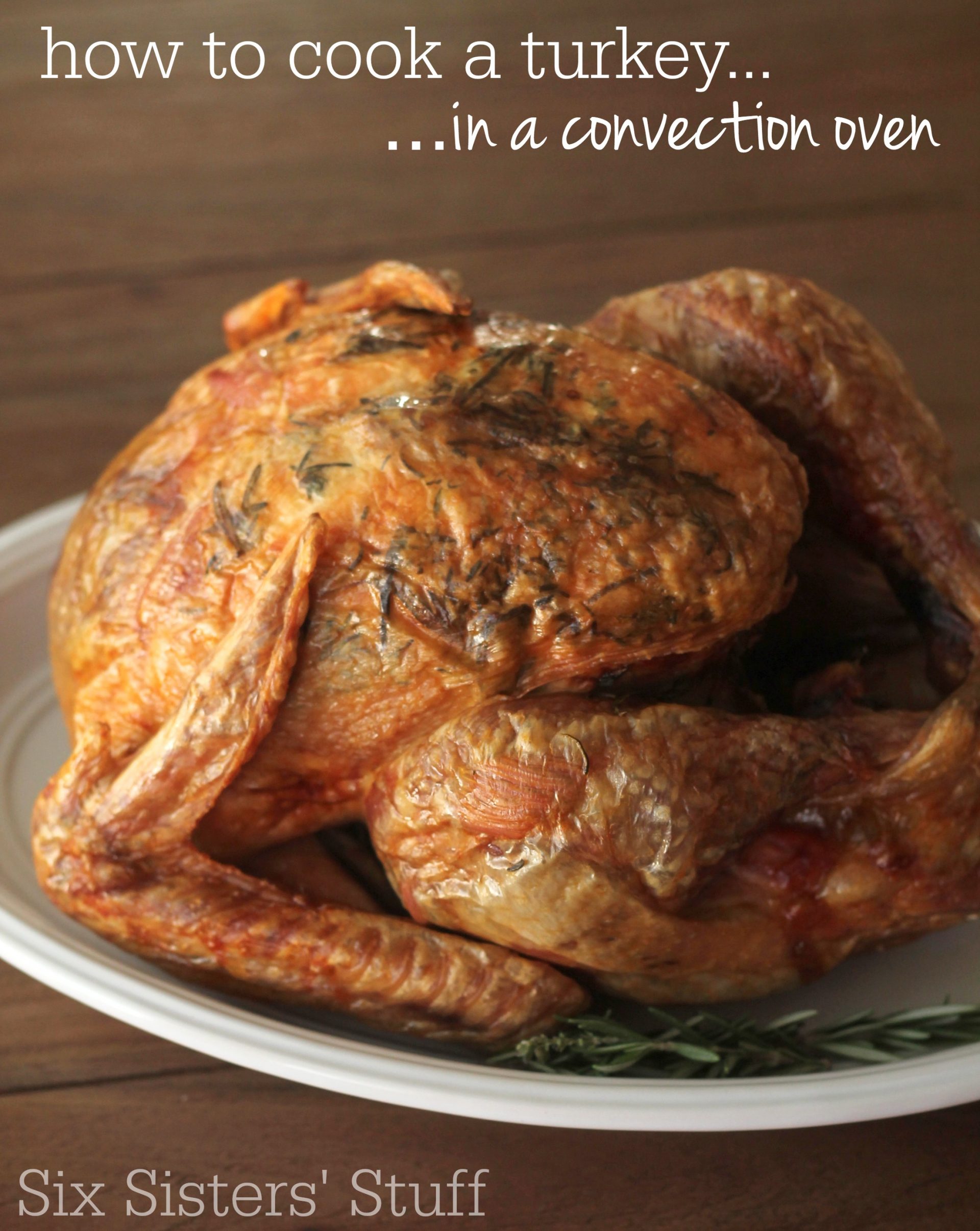 https://www.sixsistersstuff.com/wp-content/uploads/2019/11/How-to-Cook-a-Turkey-in-the-Convection-Oven.jpg