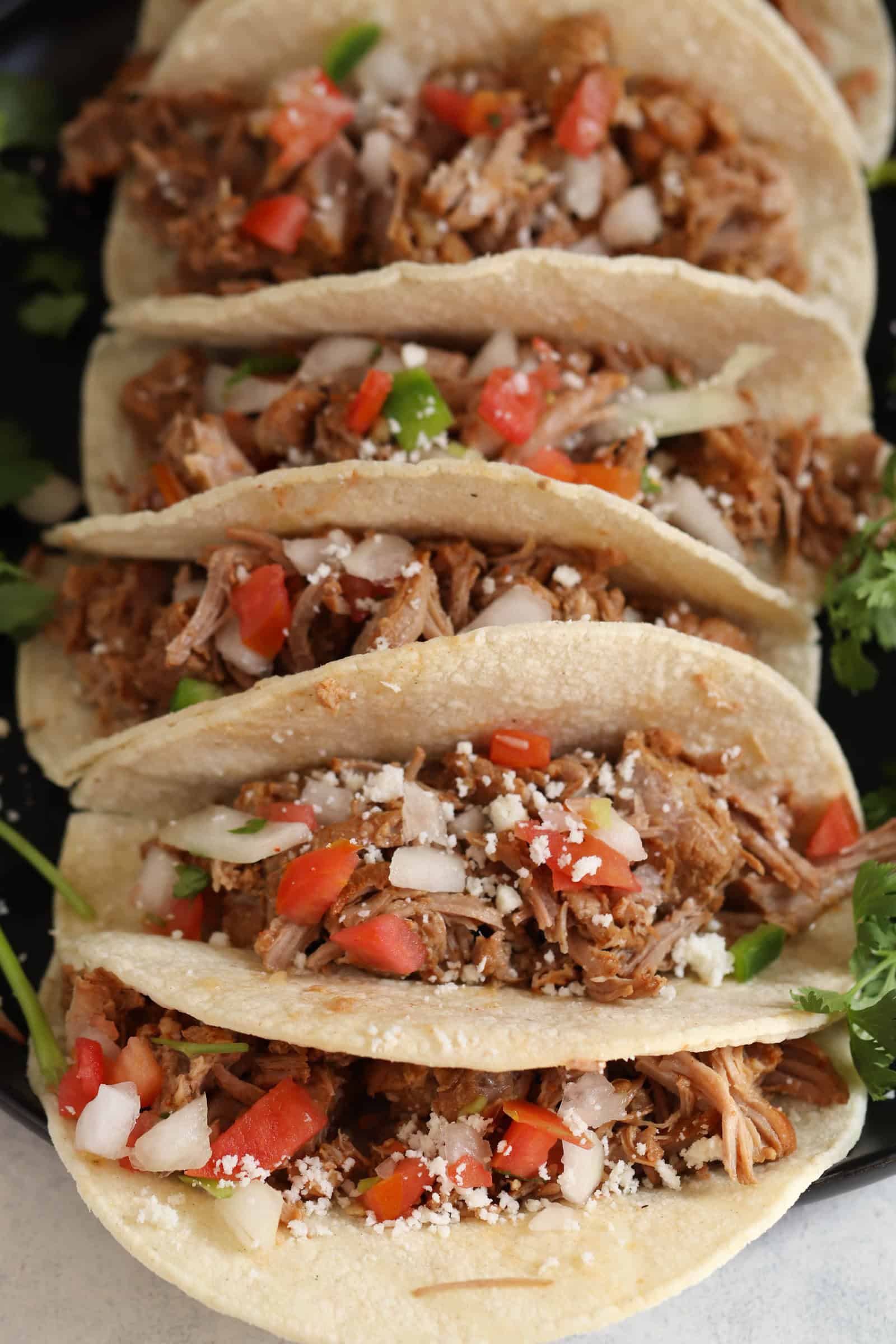 Instant Pot Carnitas Recipe