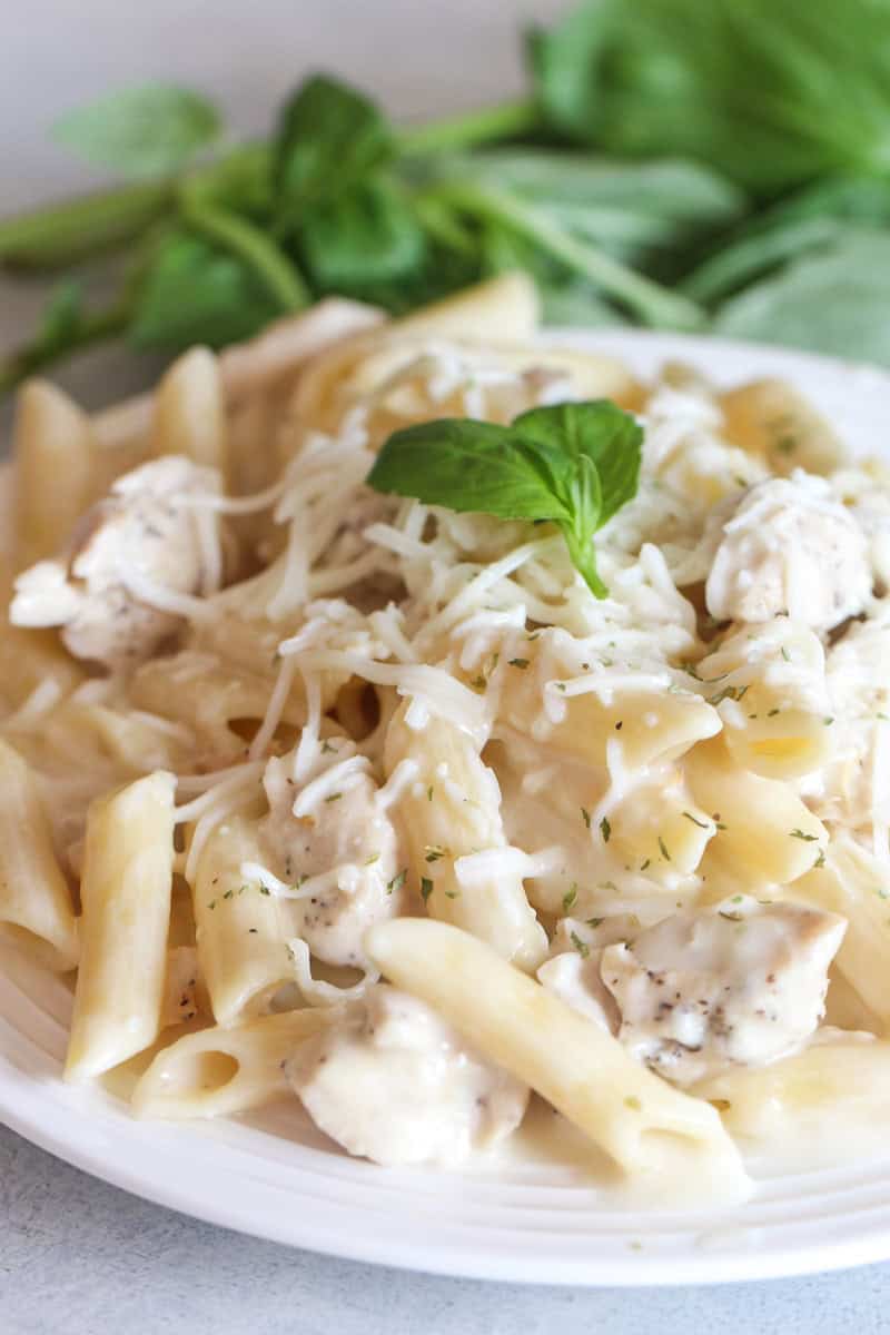 Instant Pot Chicken Alfredo Penne Pasta on a plate