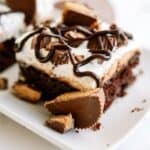 A chocolate dessert with a brownie base, creamy frosting, chocolate drizzle, and topped with pieces of peanut butter cups.
