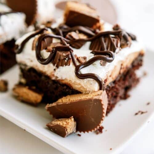 A chocolate dessert with a brownie base, creamy frosting, chocolate drizzle, and topped with pieces of peanut butter cups.
