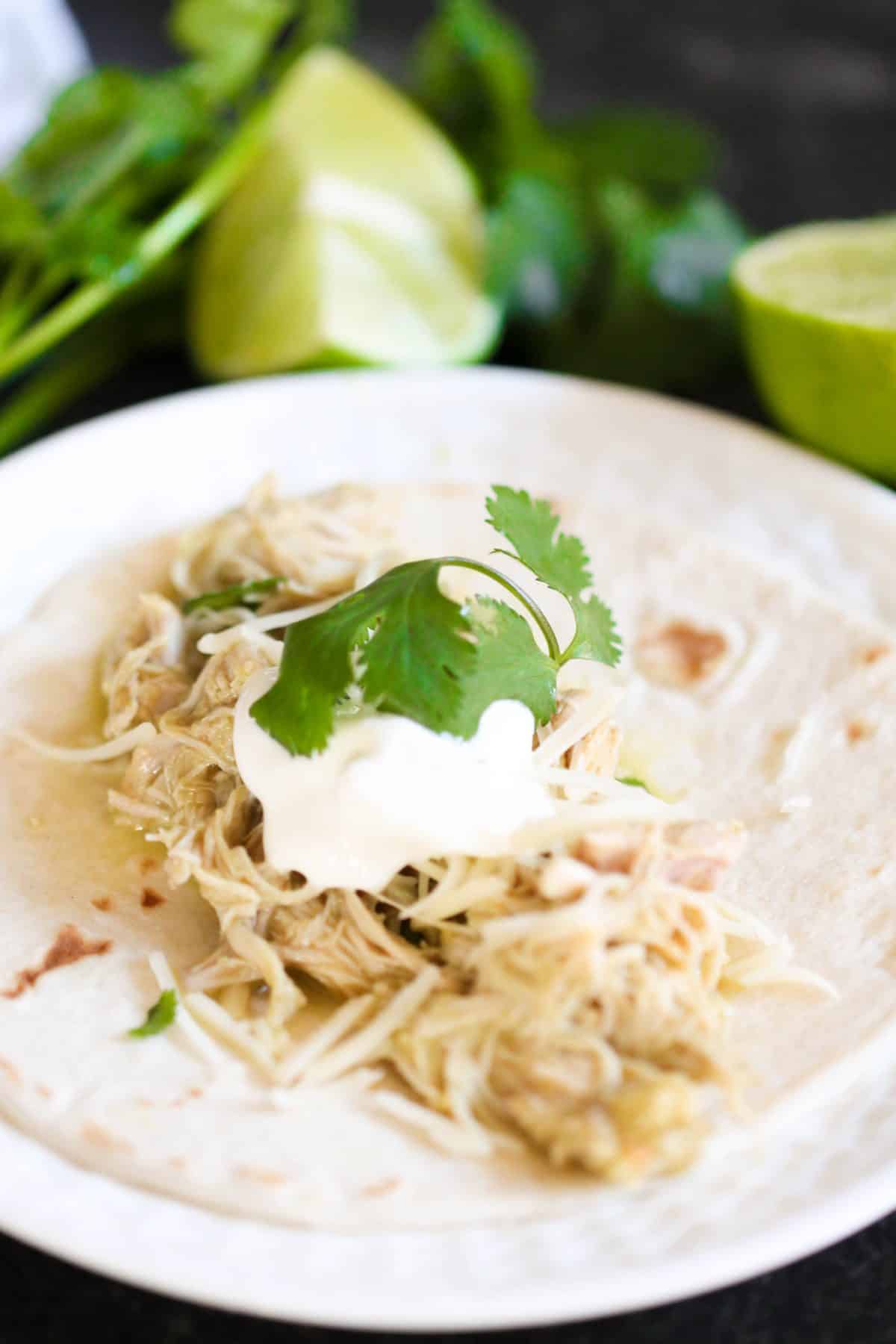 Instant Pot Chicken Chile Verde Recipe