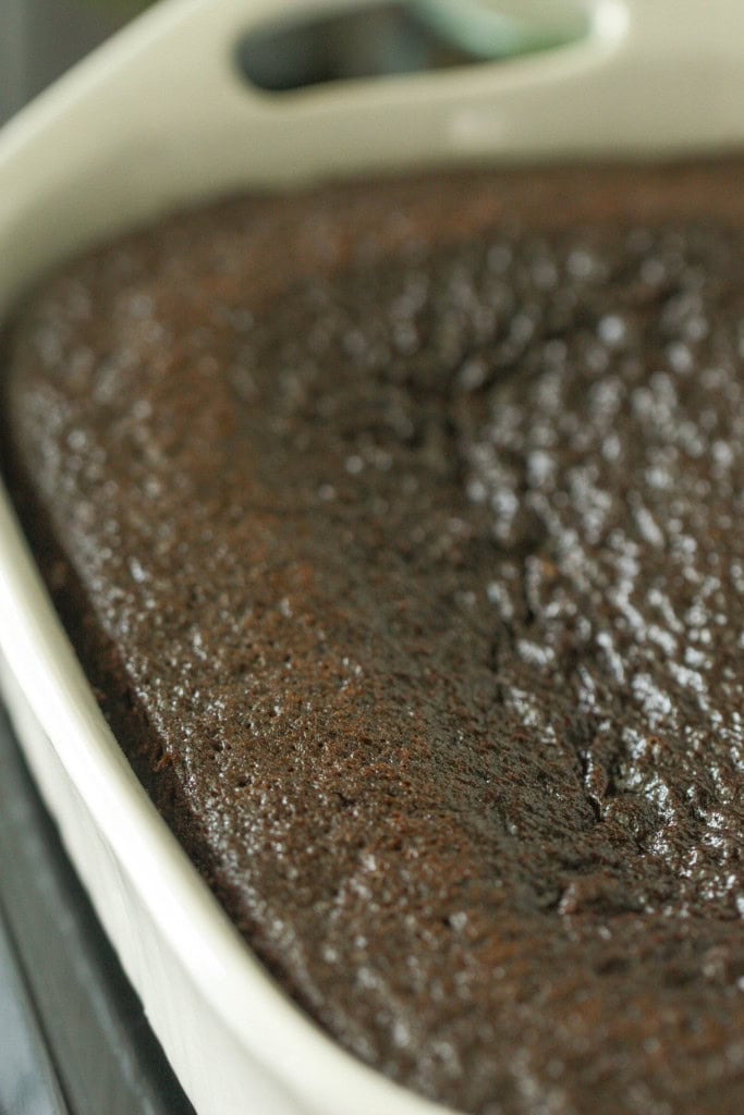 One Bowl Chocolate Cake baked in a white 9x13 baking dish.