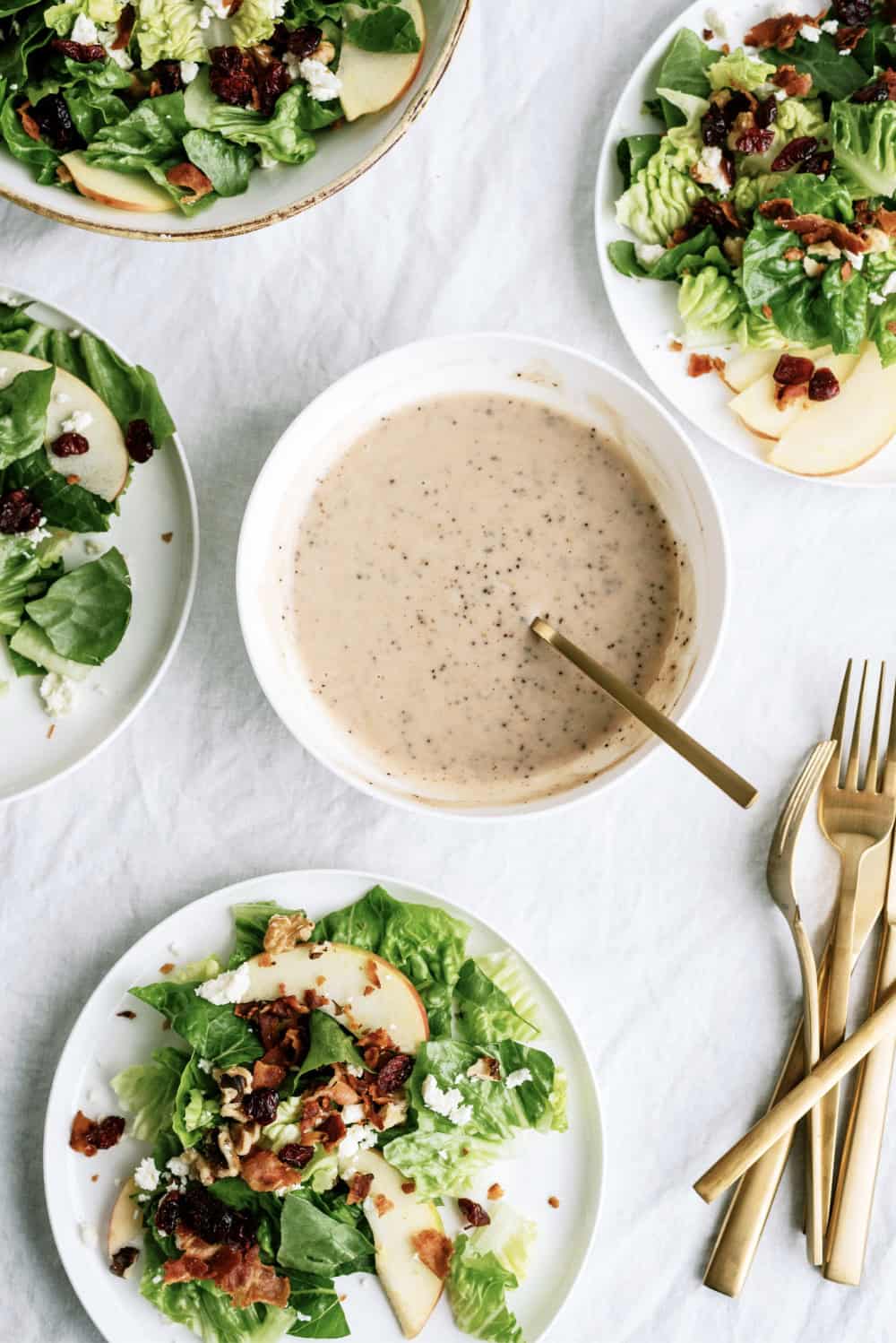 apple cranberry walnut salad with homemade dressing in a separate bowl