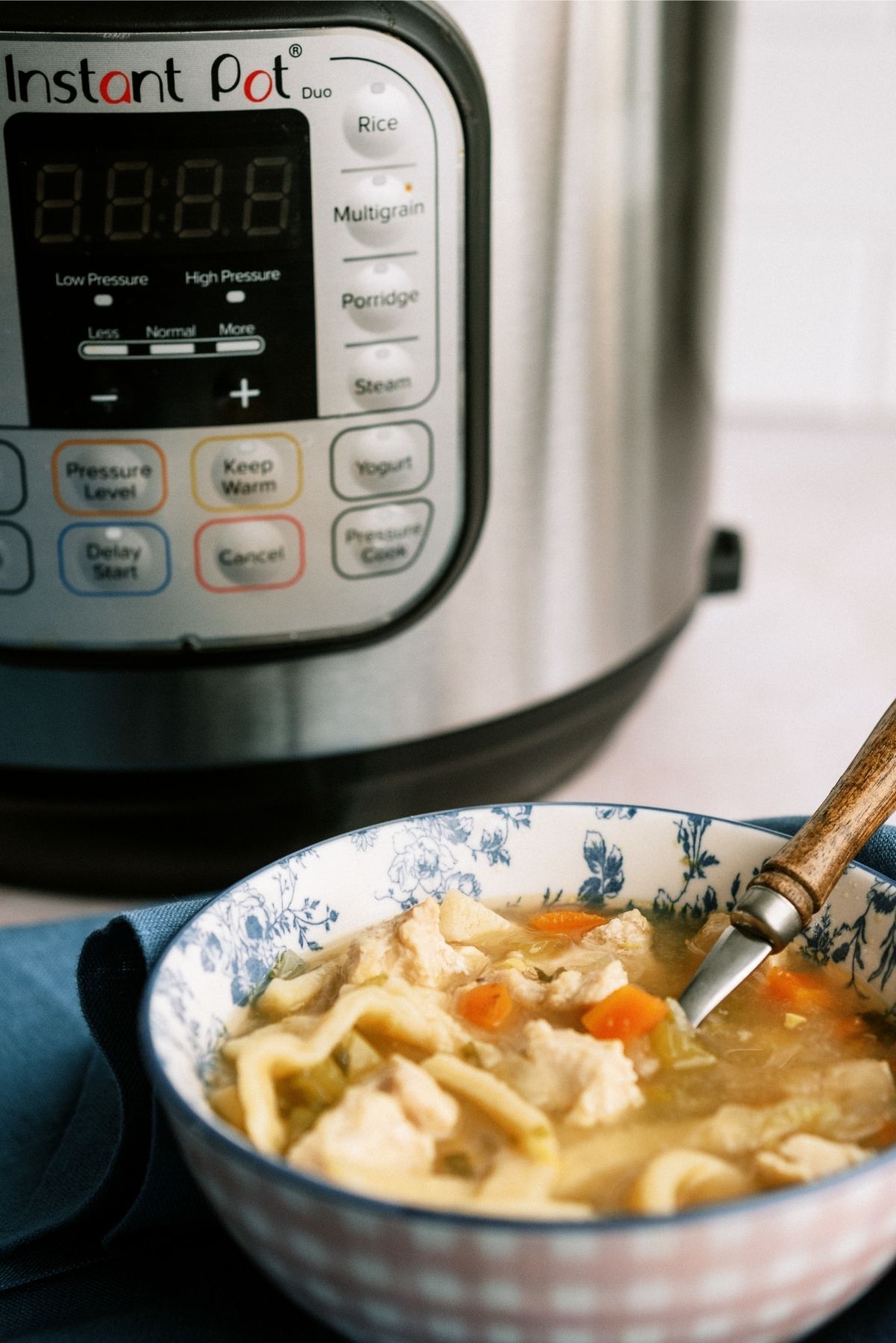 Instant Pot Chicken Noodle Soup with Instant Pot
