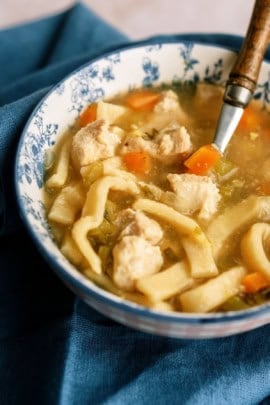 instant pot chicken noodle soup dump and go recipe in a bowl