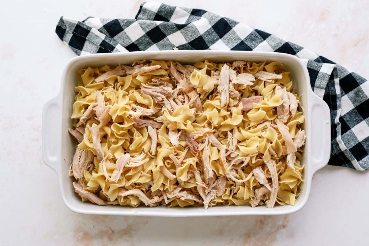 Noodles and shredded Chicken in baking dish