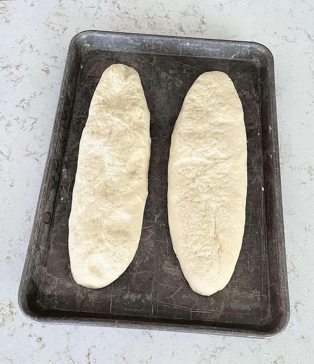 dough shaped into 2 loaves on a cooking sheet