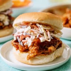 Bbq pork sandwich with coleslaw on a white plate.