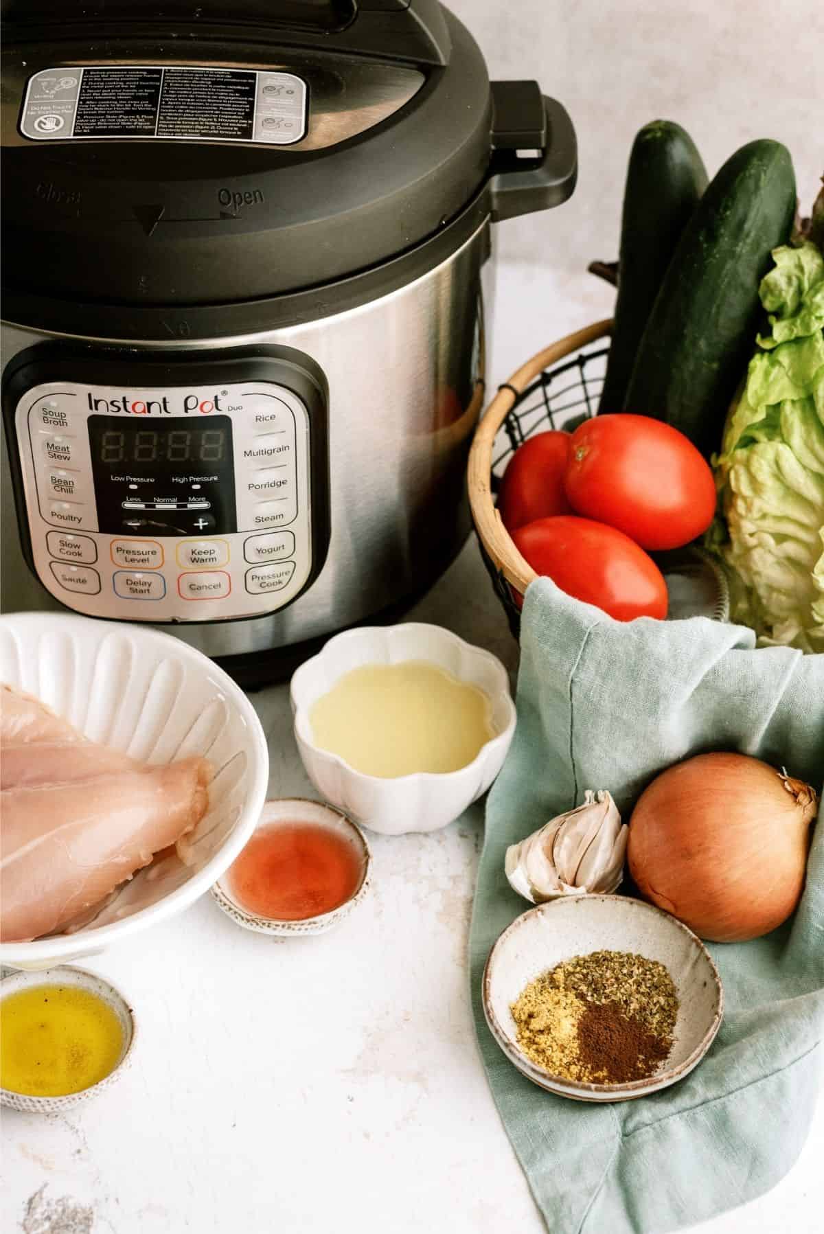 Ingredients for Instant Pot Chicken Gyros Recipe