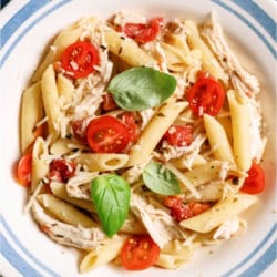 Top view of a bowl of Slow Cooker Chicken Alfredo with Pesto.