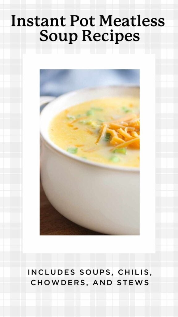 bowl of cheese soup mad without meat in the Instant Pot