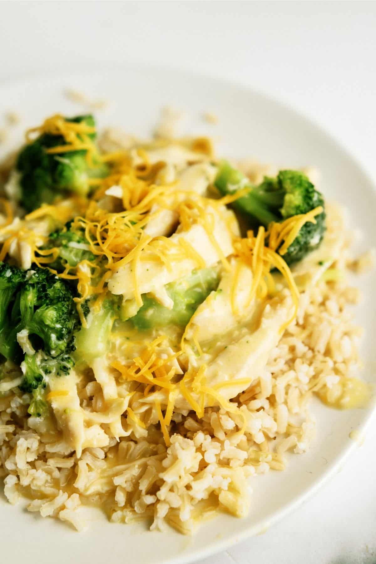 Slow Cooker Chicken and Broccoli Over Rice on a white plate topped with cheese