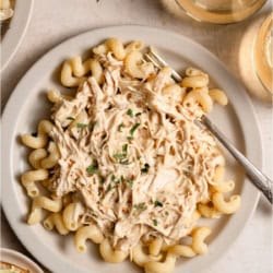 Top view of a plate of Slow Cooker Italian Chicken served over noodles.