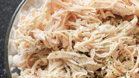 The Best Instant Pot Shredded Chicken Recipe Freezer Meal