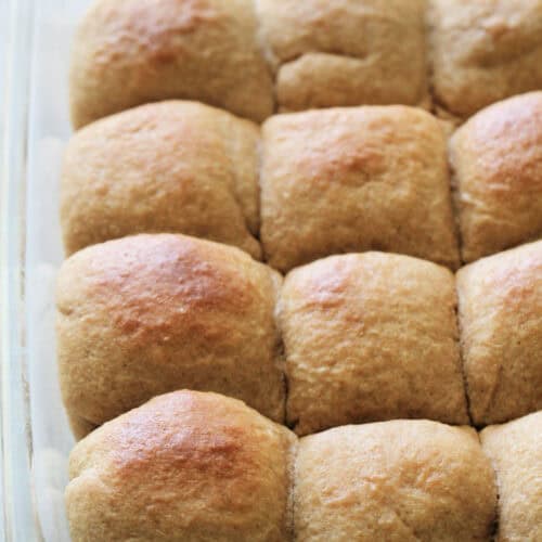 Whole Wheat Dinner Rolls in a glass baking dish.