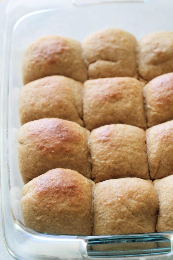Whole Wheat Dinner Rolls in a glass baking dish.