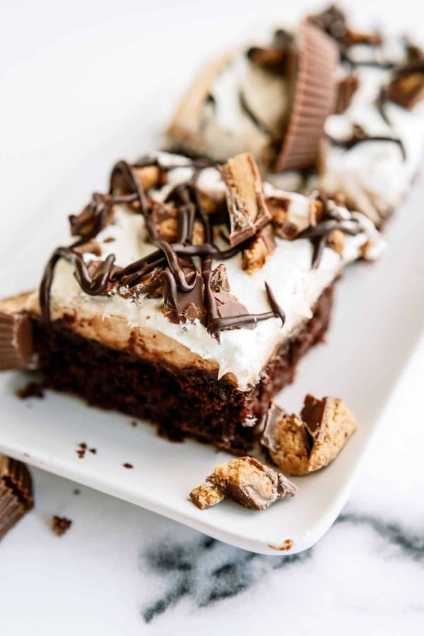 A chocolate dessert with a brownie base, creamy frosting, chocolate drizzle, and topped with pieces of peanut butter cups.