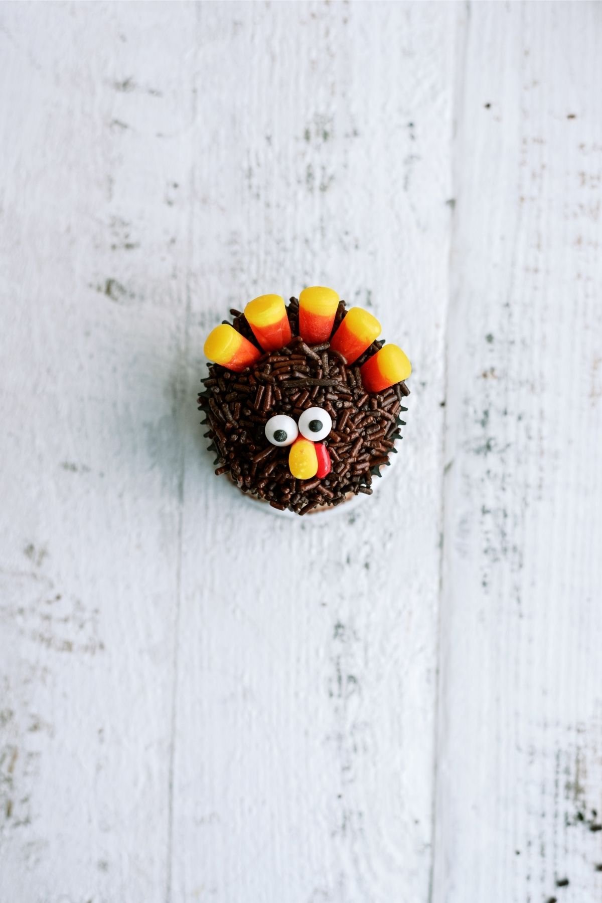 Completed Thanksgiving Turkey Cupcake 