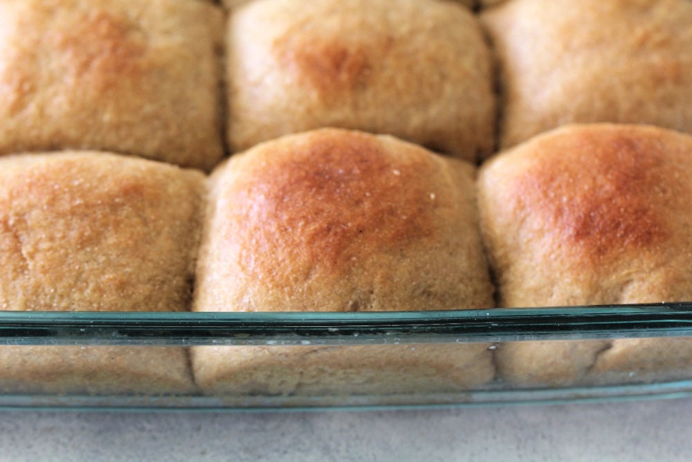 30 Minute Whole Wheat Dinner Rolls in a baking dish