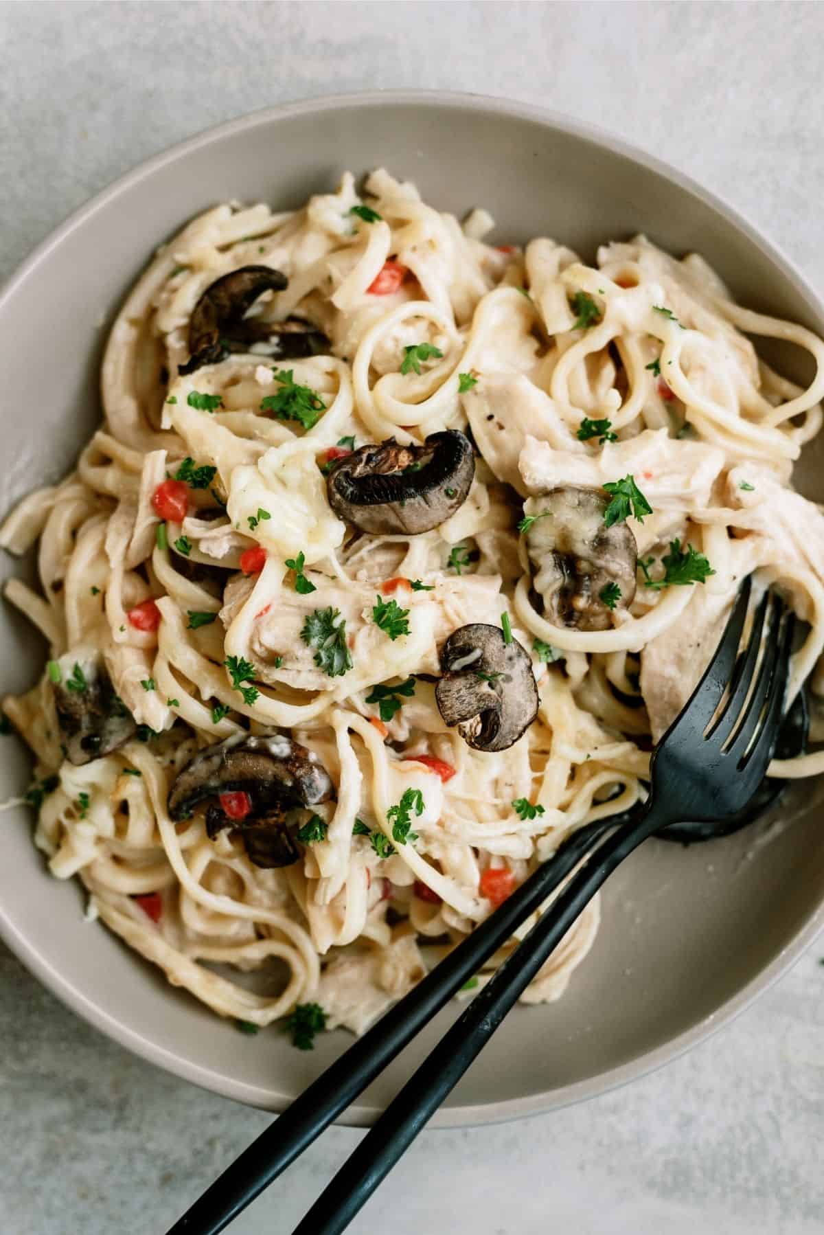 Plate of Chicken Tetrazzini Casserole close up with utensils