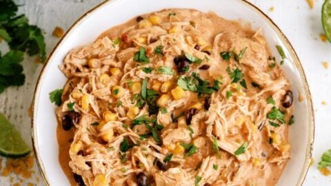 Instant Pot Creamy Fiesta Chicken Recipe