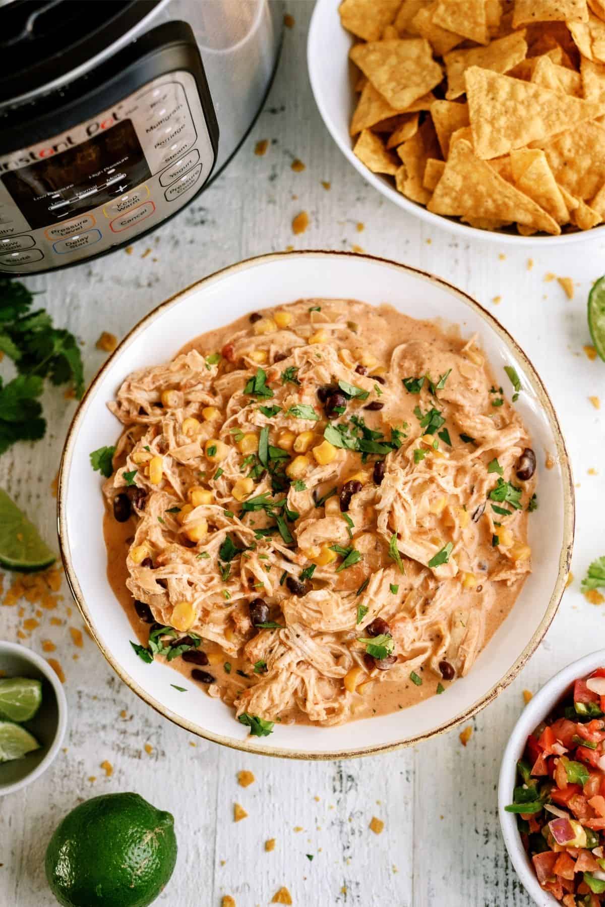 Instant Pot Creamy Fiesta Chicken Recipe