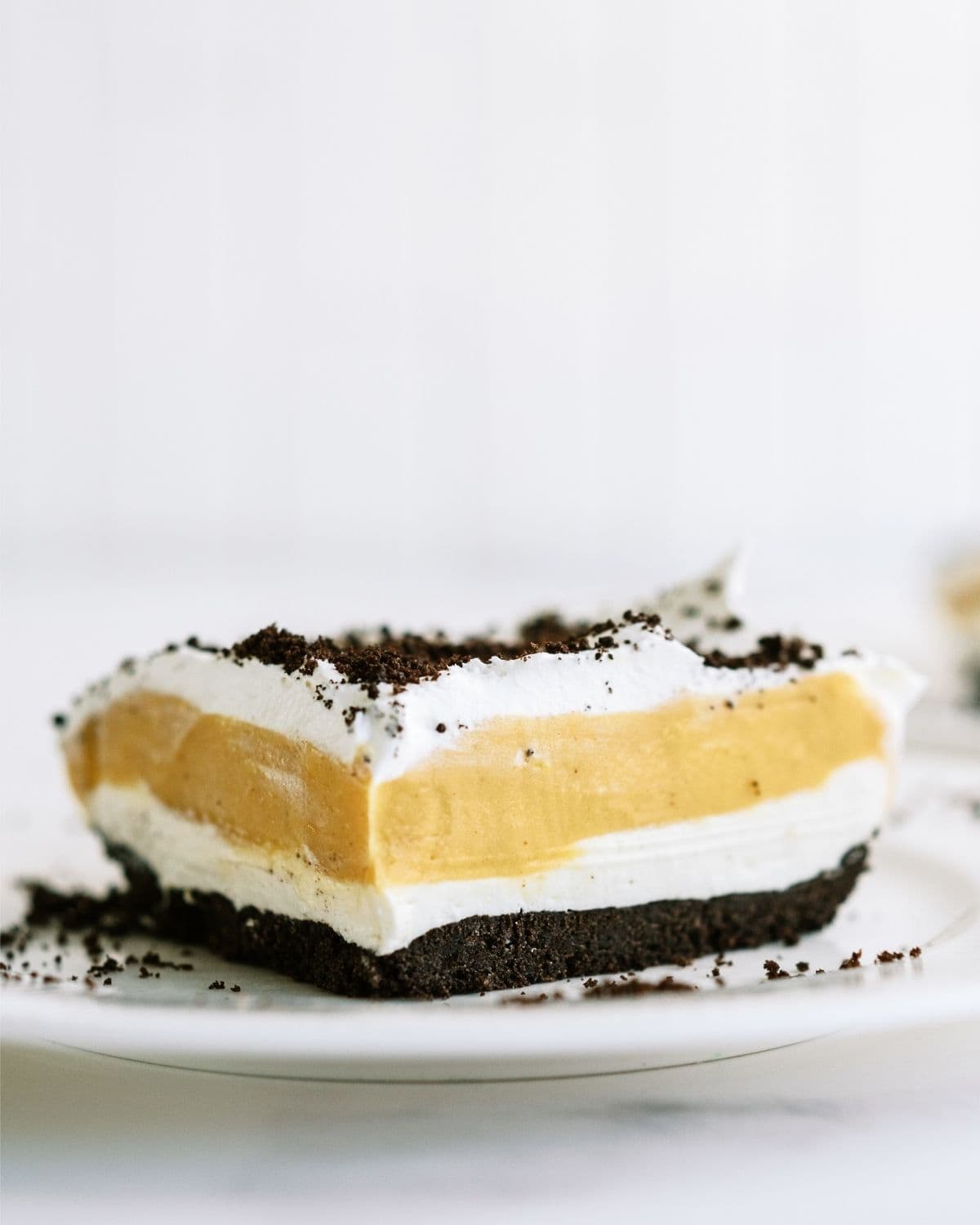 Slice of Chocolate Peanut Butter Lasagna on a plate