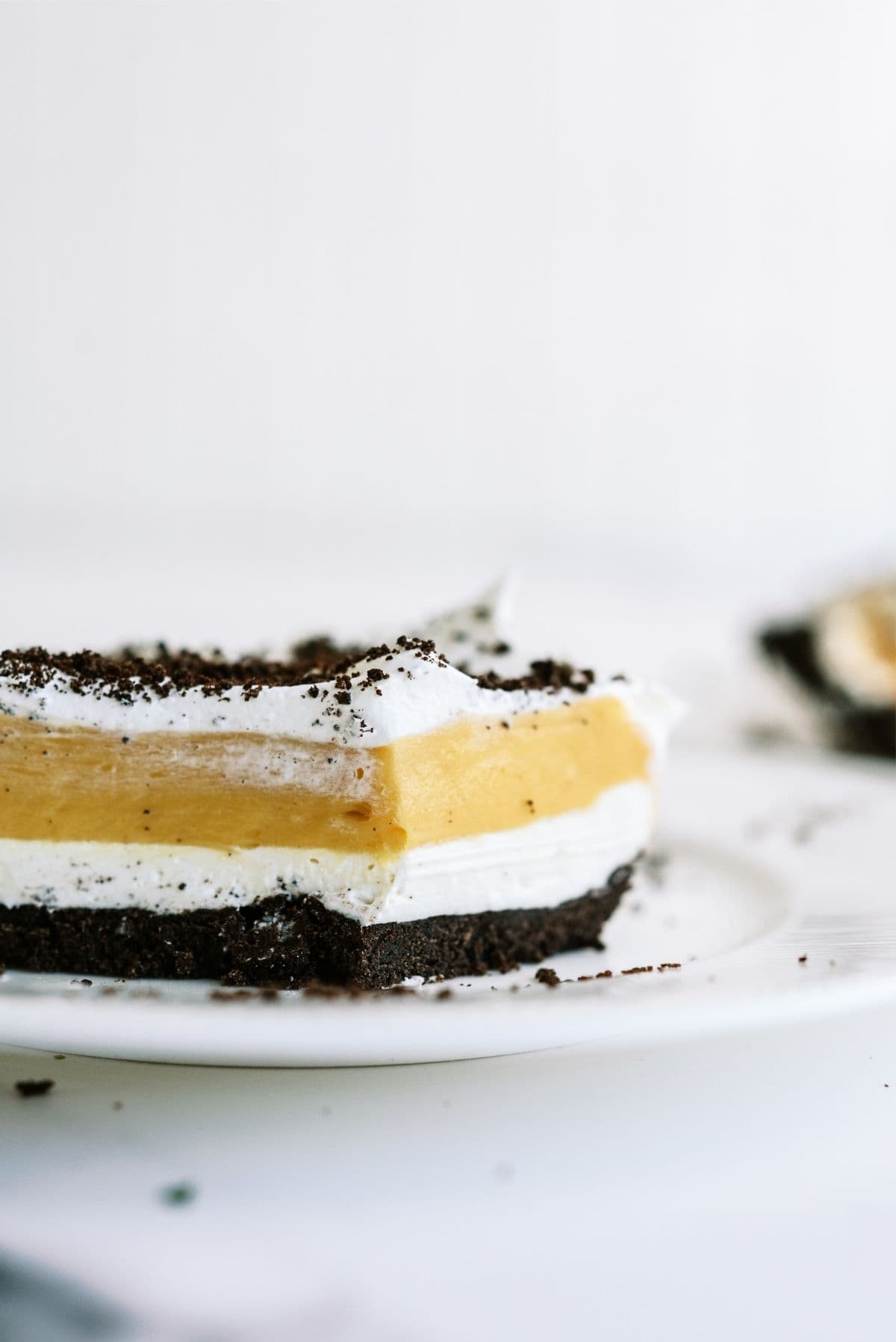 Slice of Chocolate Peanut Butter Lasagna on a plate