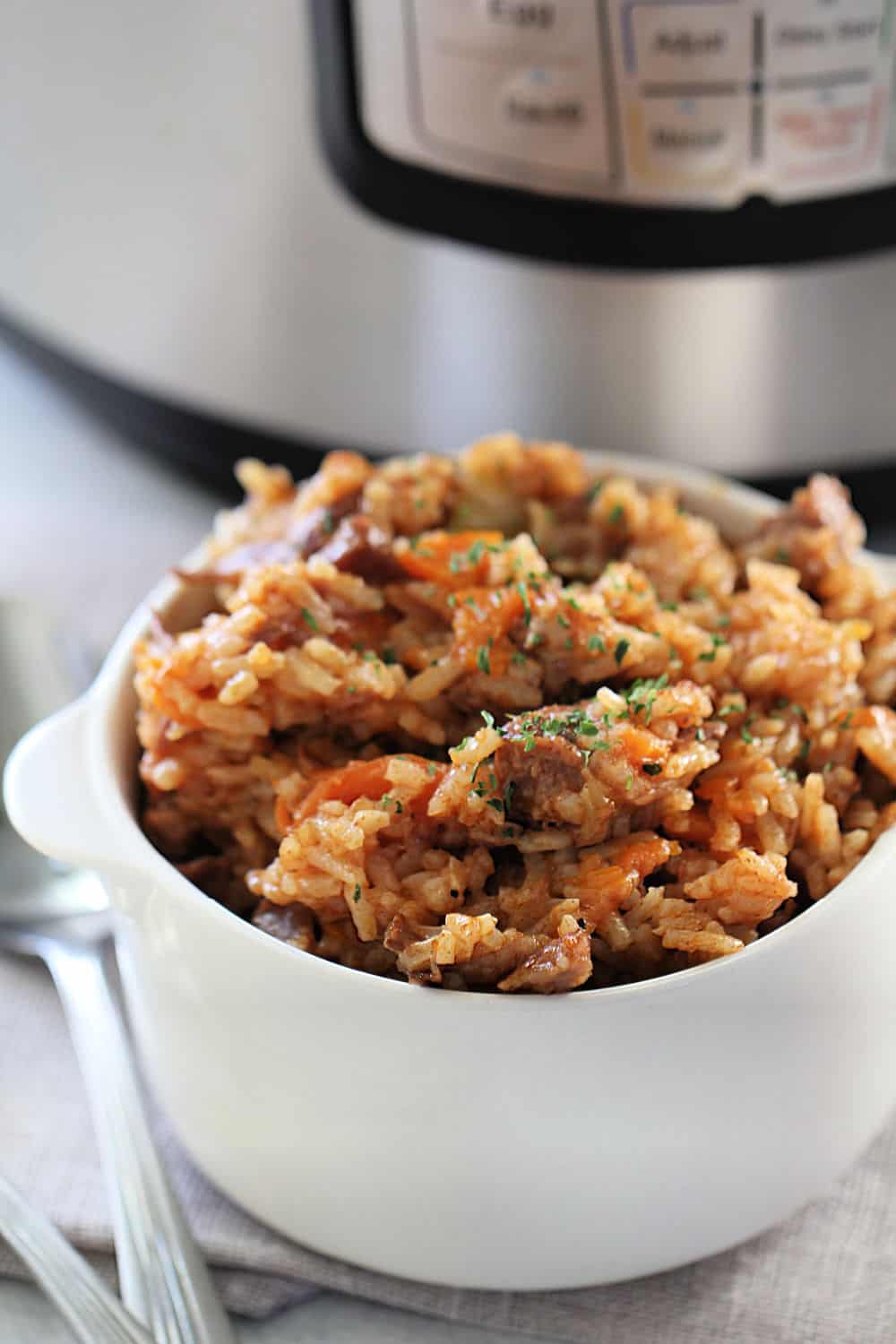 Instant Pot Beef and Rice Pilaf with Vegetables Recipe