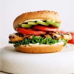 Marinated Grilled Chicken Sandwich topped with tomatoes and avocados on a white background.