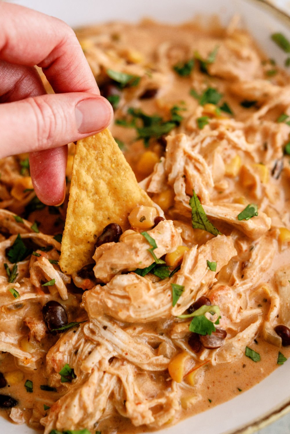Slow Cooker Creamy Fiesta Chicken in a bowl with a chip dipping into it.