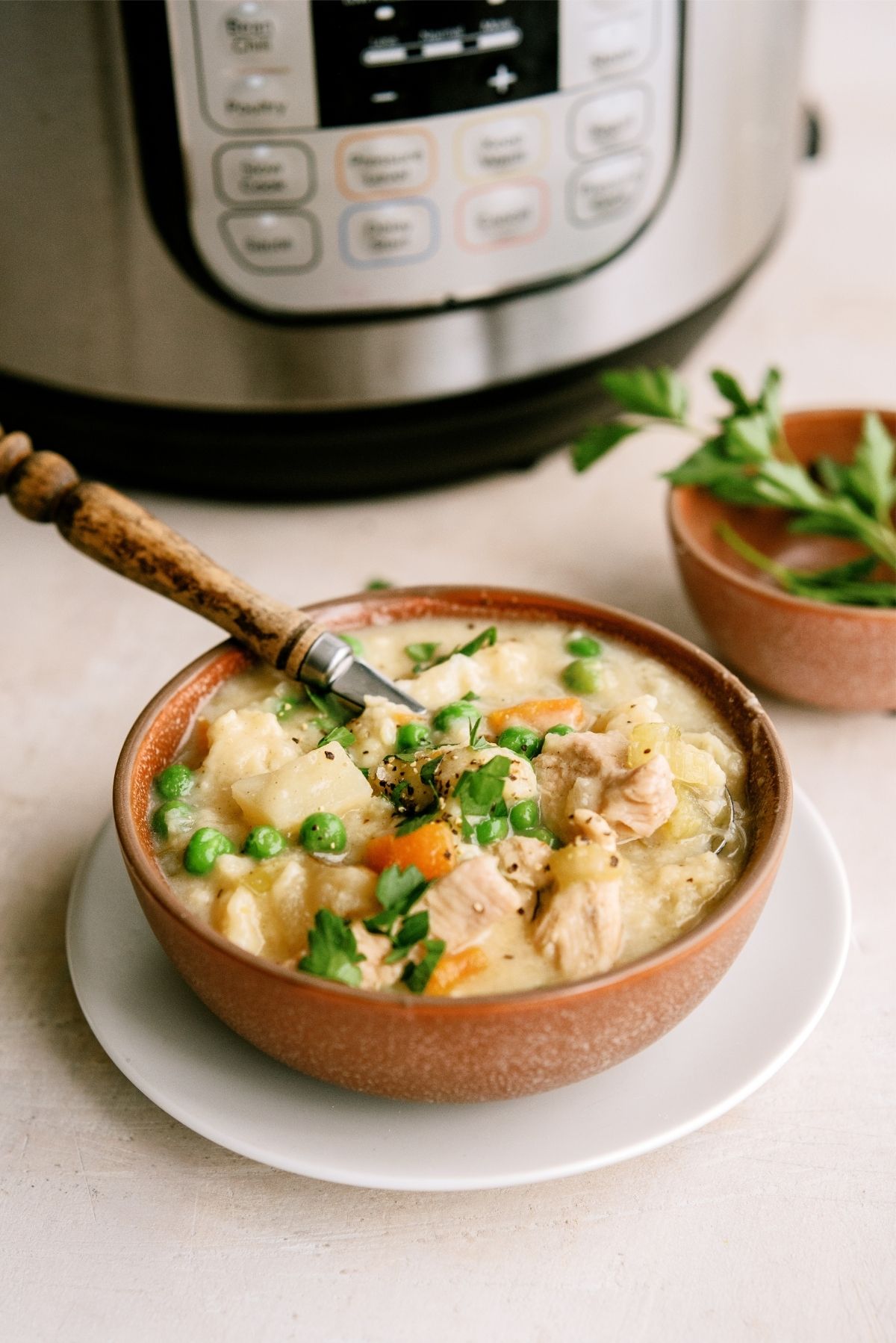 A bowl of Easy Instant Pot Chicken and Dumplings Recipe with an Instant Pot in the background