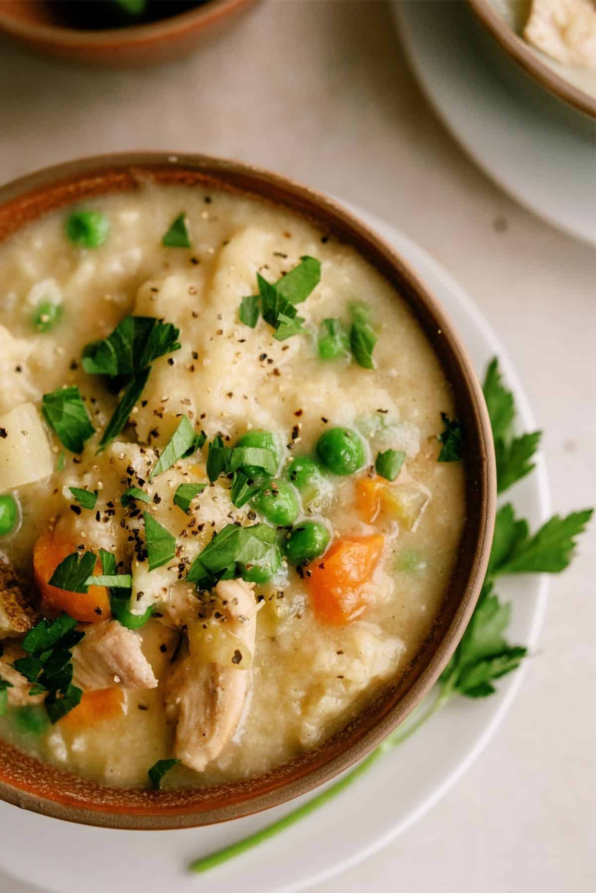 Close up of a bowl of Easy Instant Pot Chicken and Dumplings Recipe