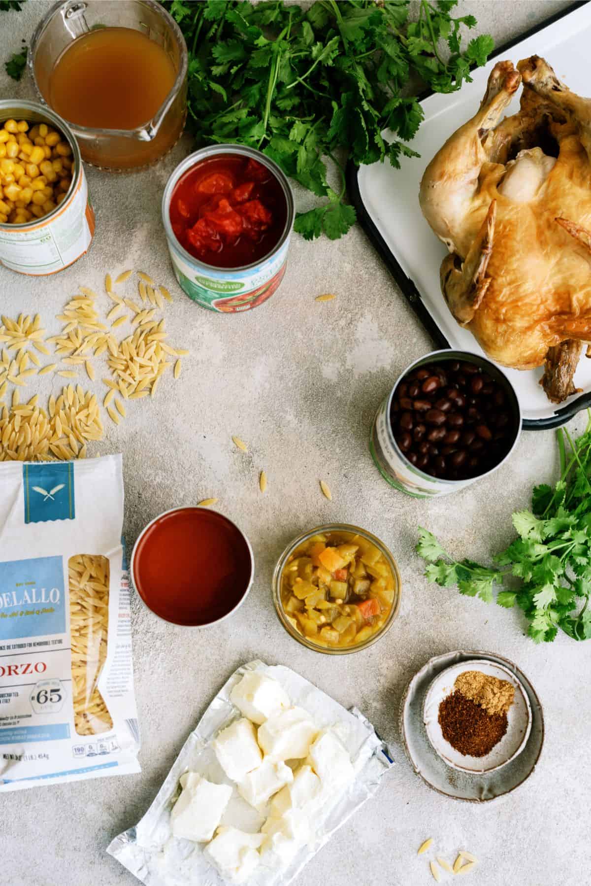 Ingredients needed to make Slow Cooker Chicken Enchilada Pasta