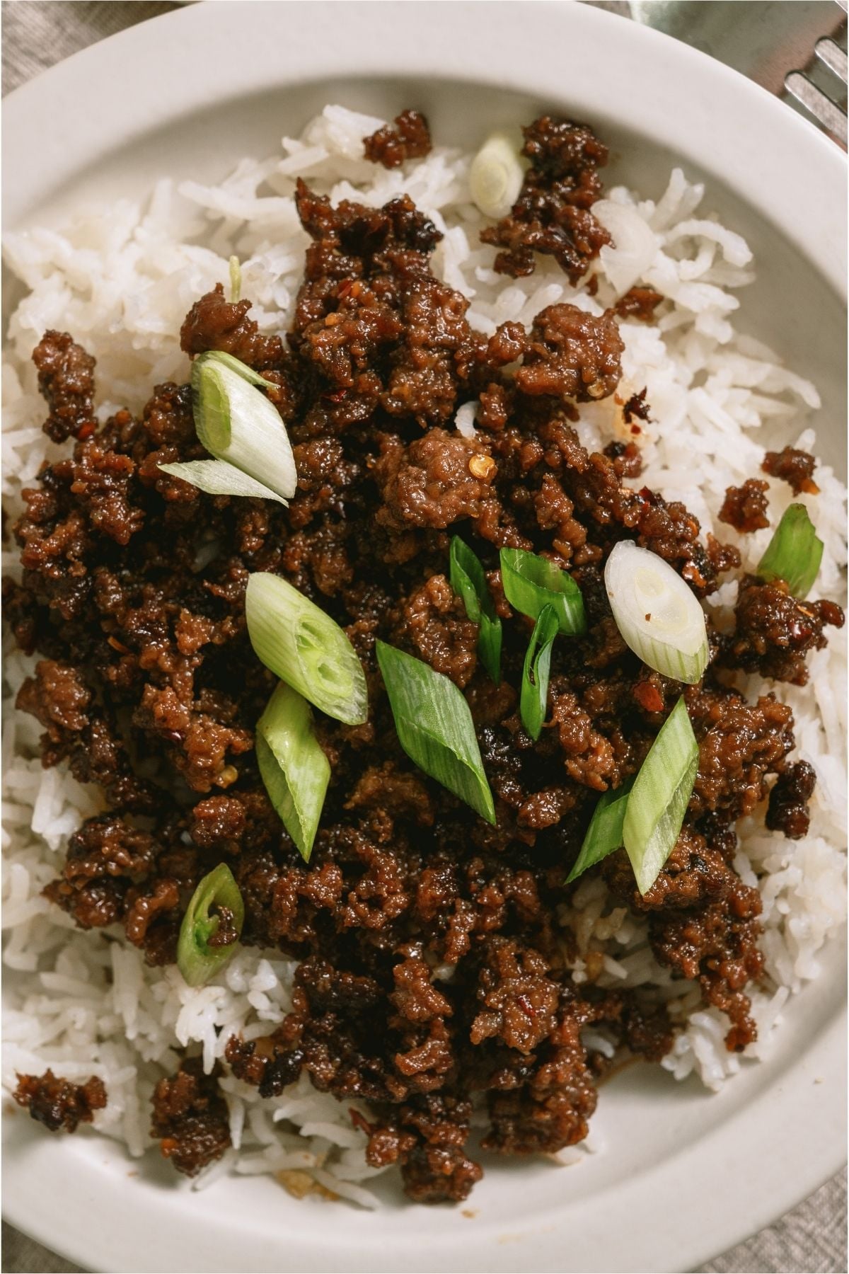 Top view of Korean Beef and Rice topped with green onions.