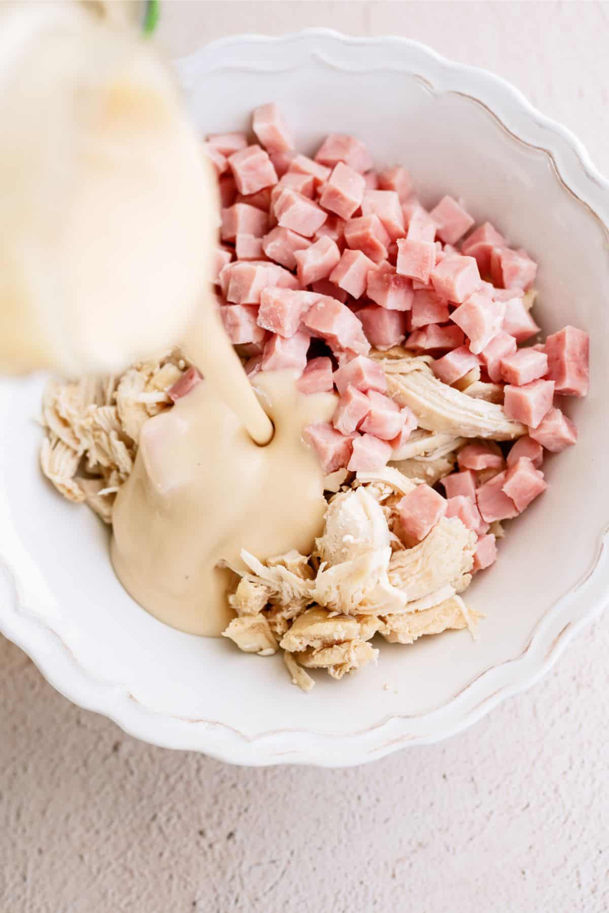 Diced ham, chicken and sauce mixed in a bowl