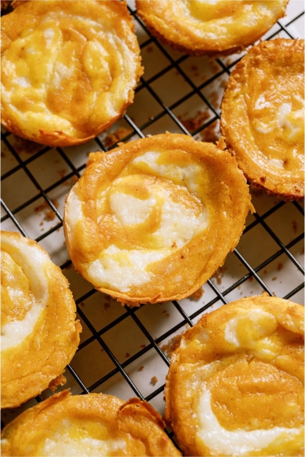 Top view of Mini Pumpkin Cheesecakes on a cooling rack.