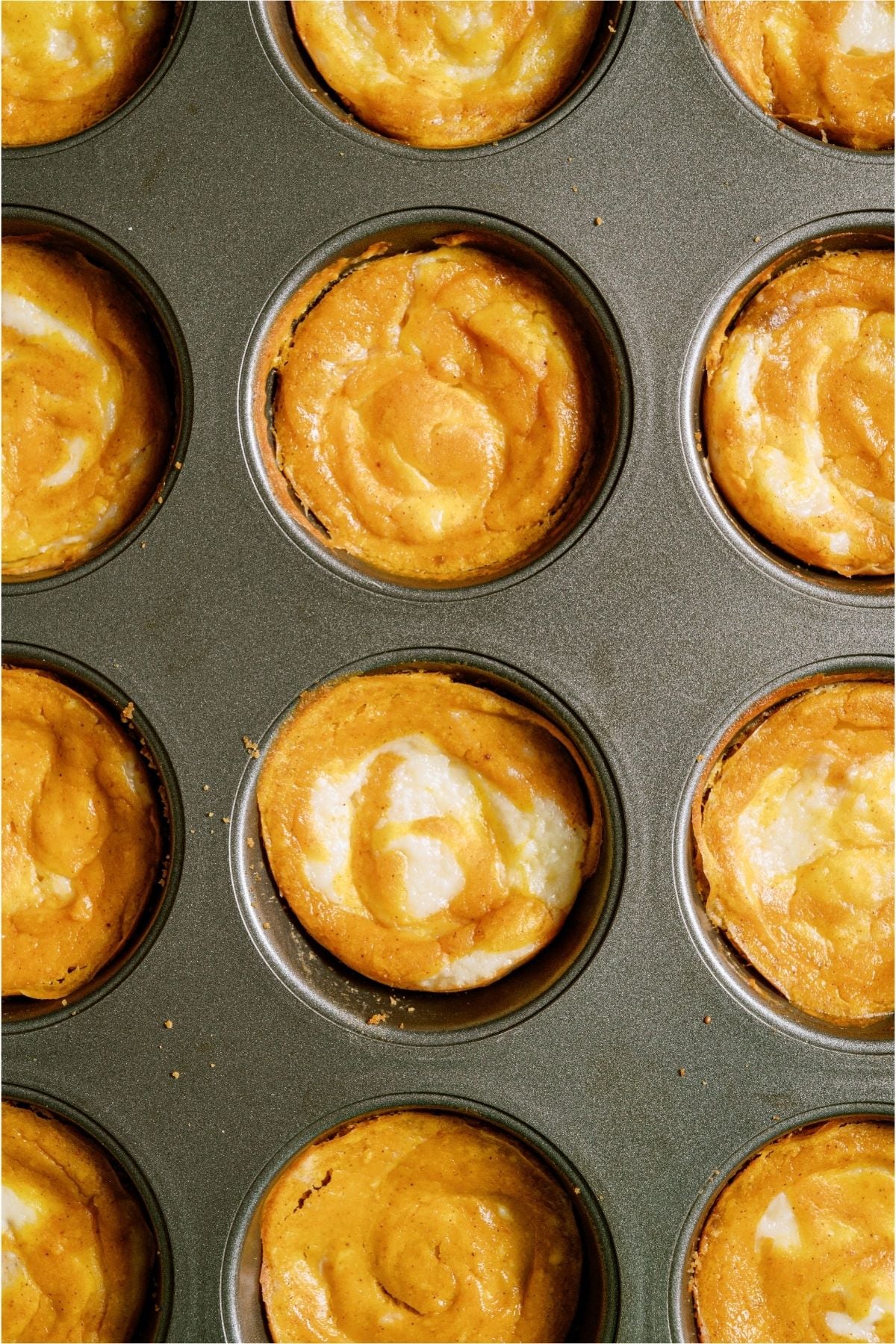 Mini Pumpkin Cheesecakes in a muffin tin.