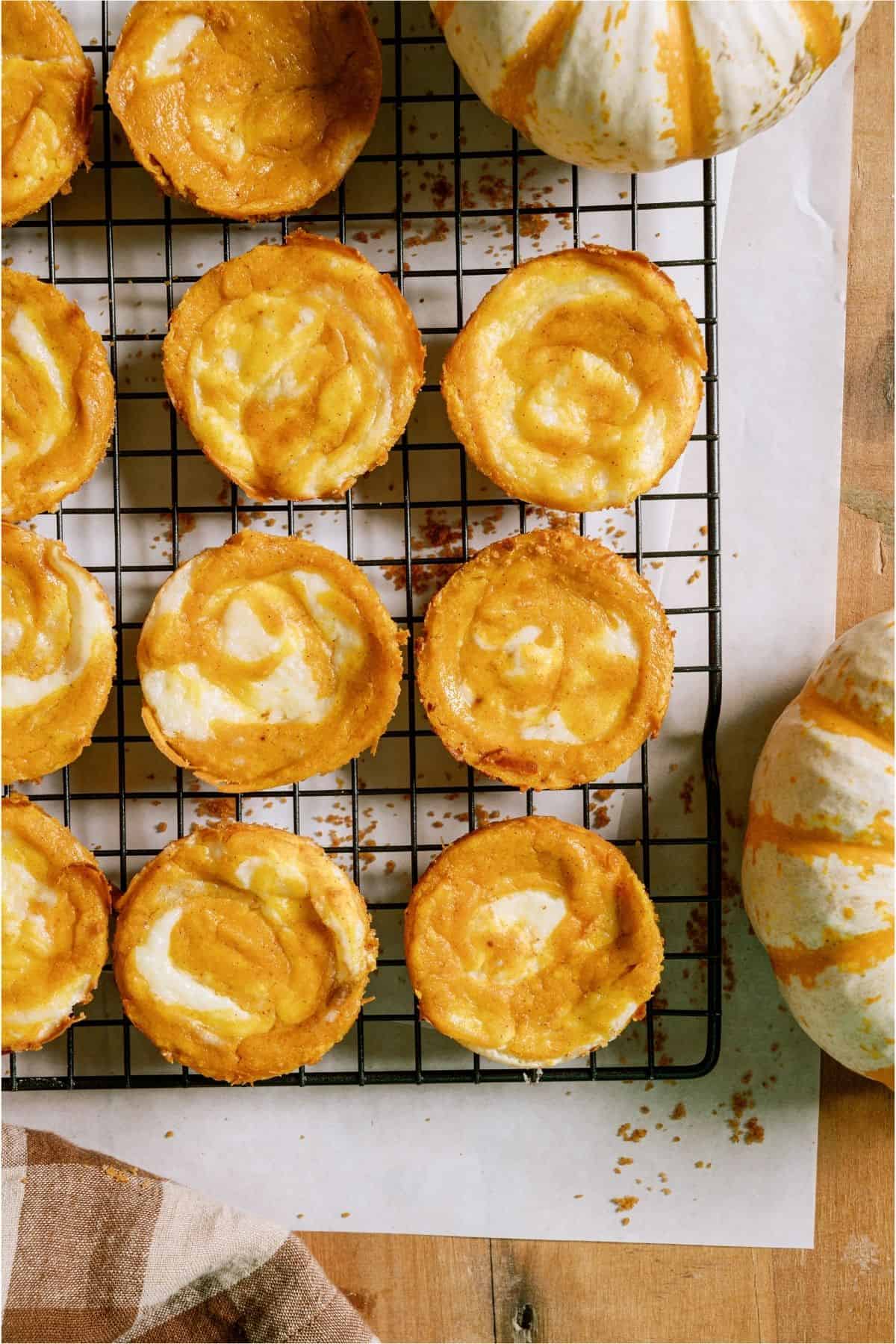 Mini Pumpkin Cheesecakes on a cooling rack.