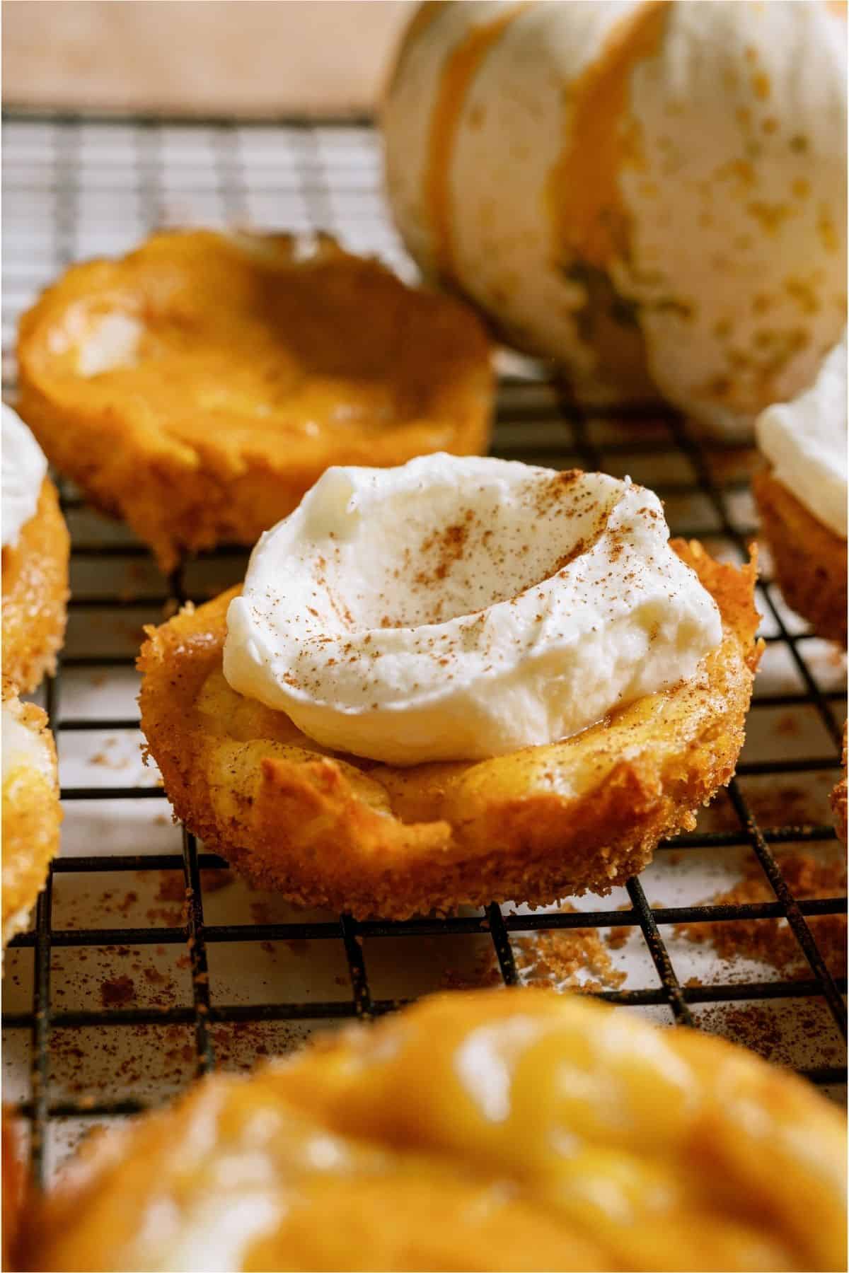 Close up of a Mini Pumpkin Cheesecake topped with whip cream.