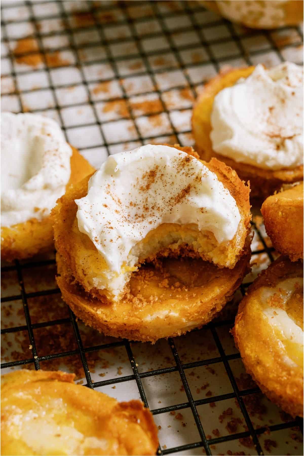 Several Mini Pumpkin Cheesecakes on a cooling rack with a bite missing from one that's topped with whip cream.
