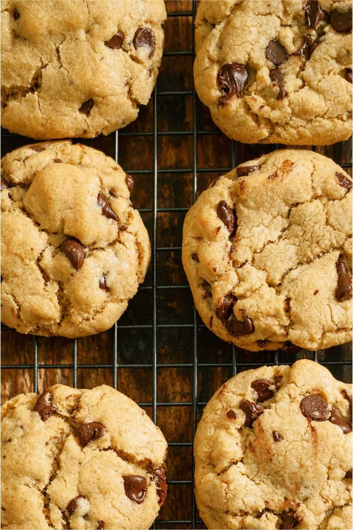 Top view of 6 Chewy Chocolate Chip Cookies on a cooling rack.