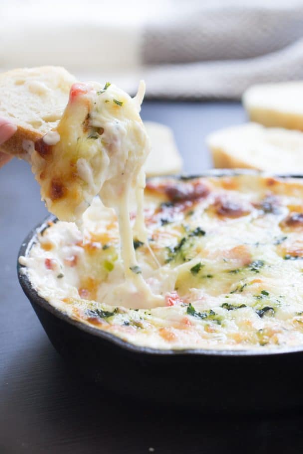 Chicken Alfredo Dip Recipe