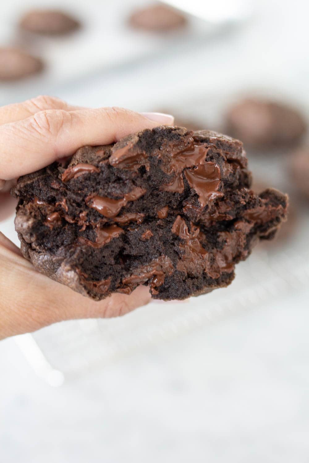 LEVAIN BAKERY DARK CHOCOLATE CHOCOLATE CHIP COOKIE
