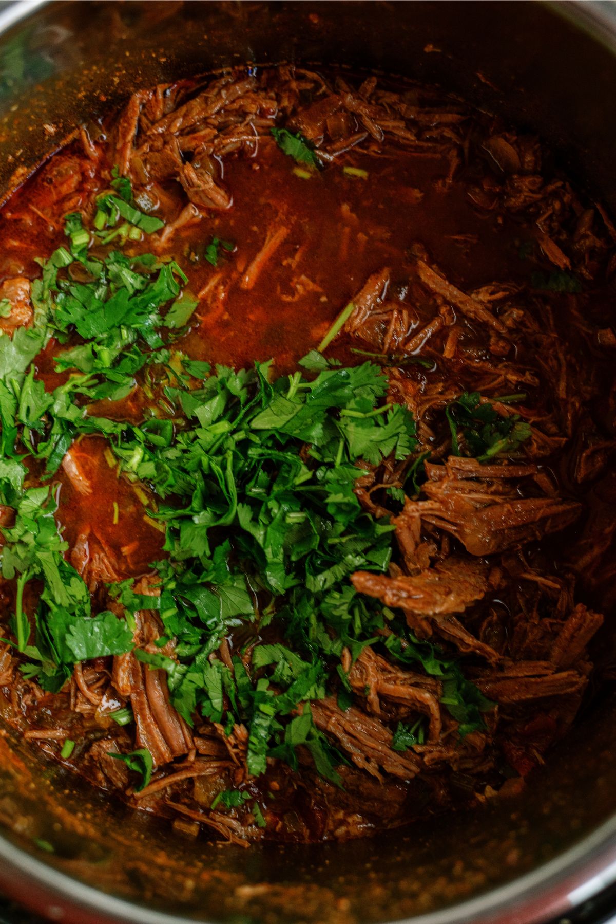 Shredded beef in instant pot with juices and chopped cilantro