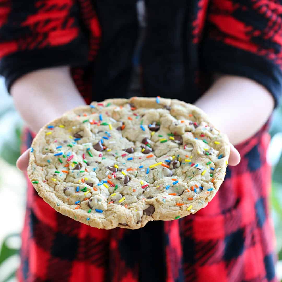 Big Giant Chocolate Chip Cookie
