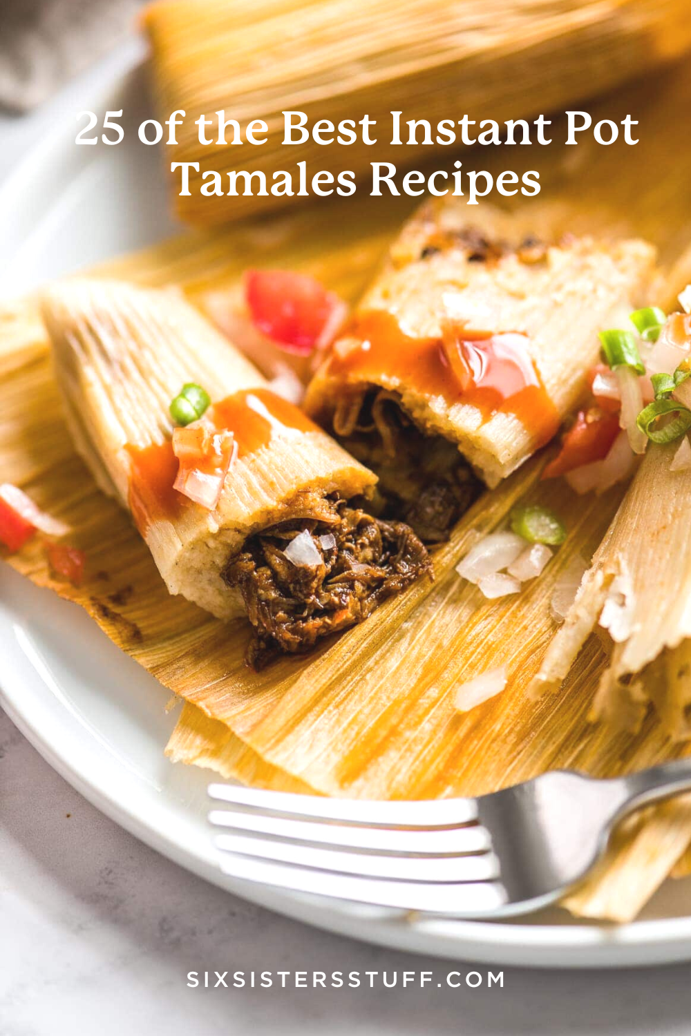 25 of the Best Instant Pot Tamales Recipes