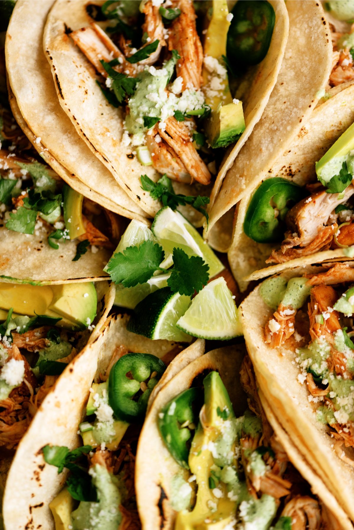 Close up of Slow Cooker Chicken Tinga Tacos on a platter